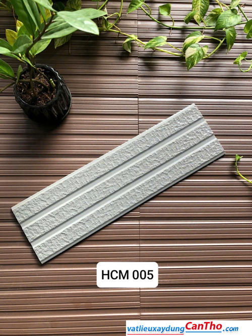 Việt Nhật HCM 005
